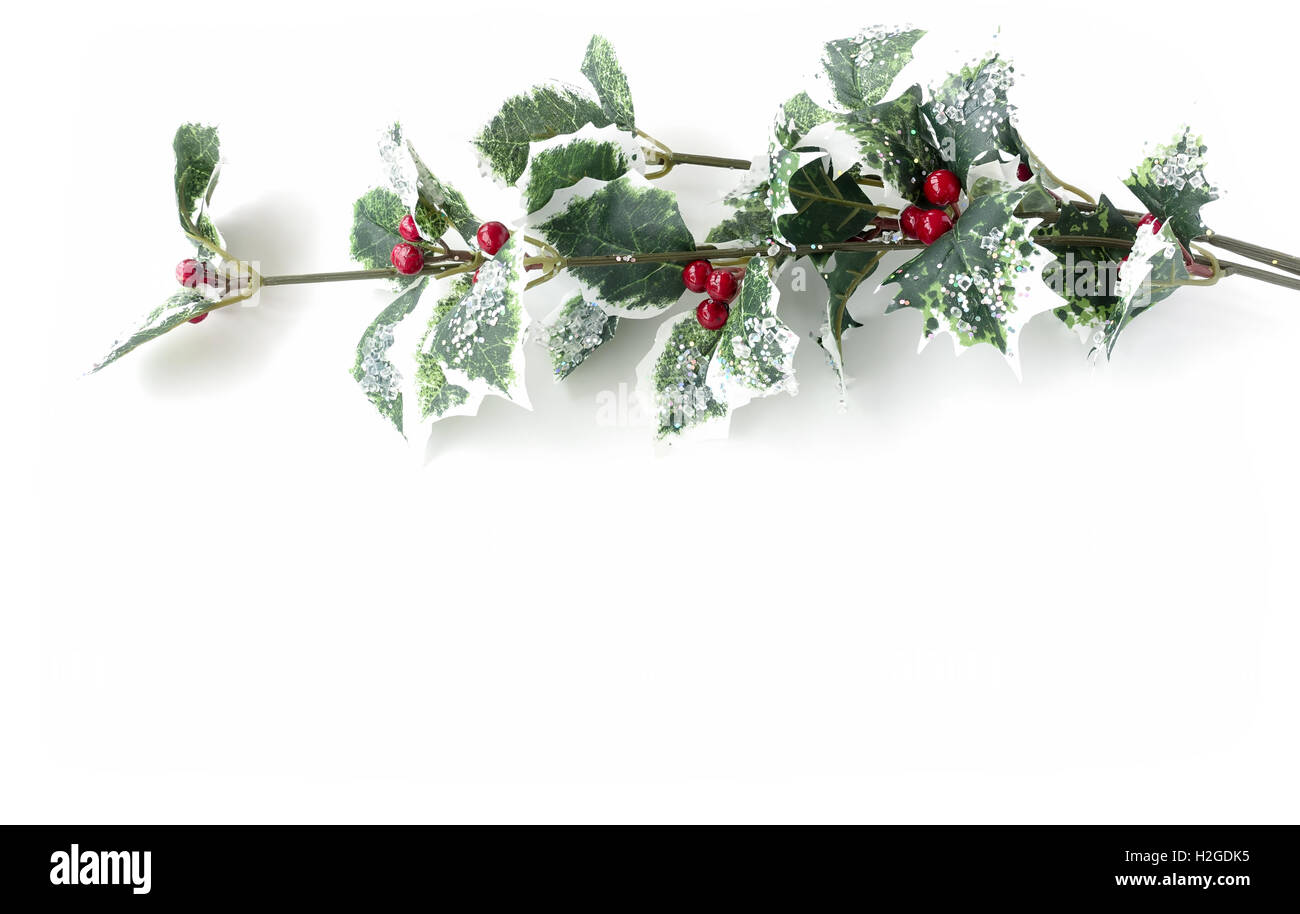Ilex aquifolium - houx artificielle branche avec fruits Banque D'Images Ilex aquifolium - houx artificielle branche avec fruits Banque D'Images