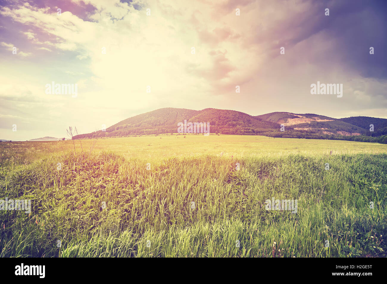 Tons Vintage paysage rural paisible au coucher du soleil. Banque D'Images