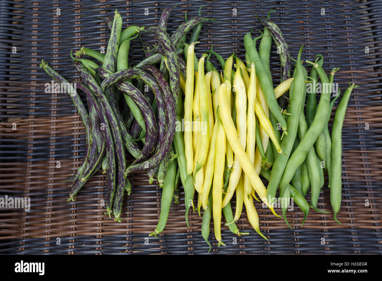 Jaune Vert bio haricots Légumes frais Banque D'Images