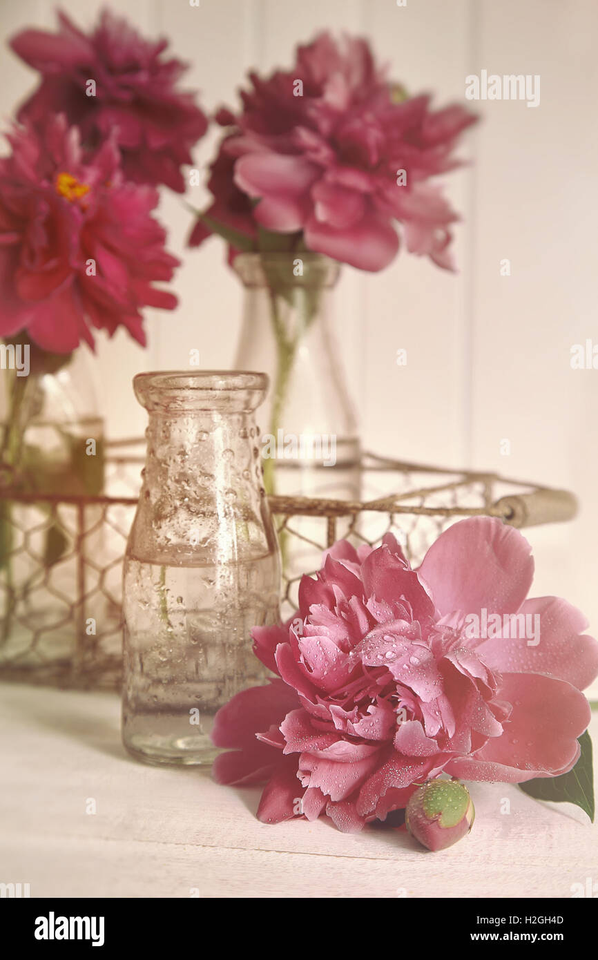 Belles fleurs de pivoine avec des bouteilles sur la table Banque D'Images