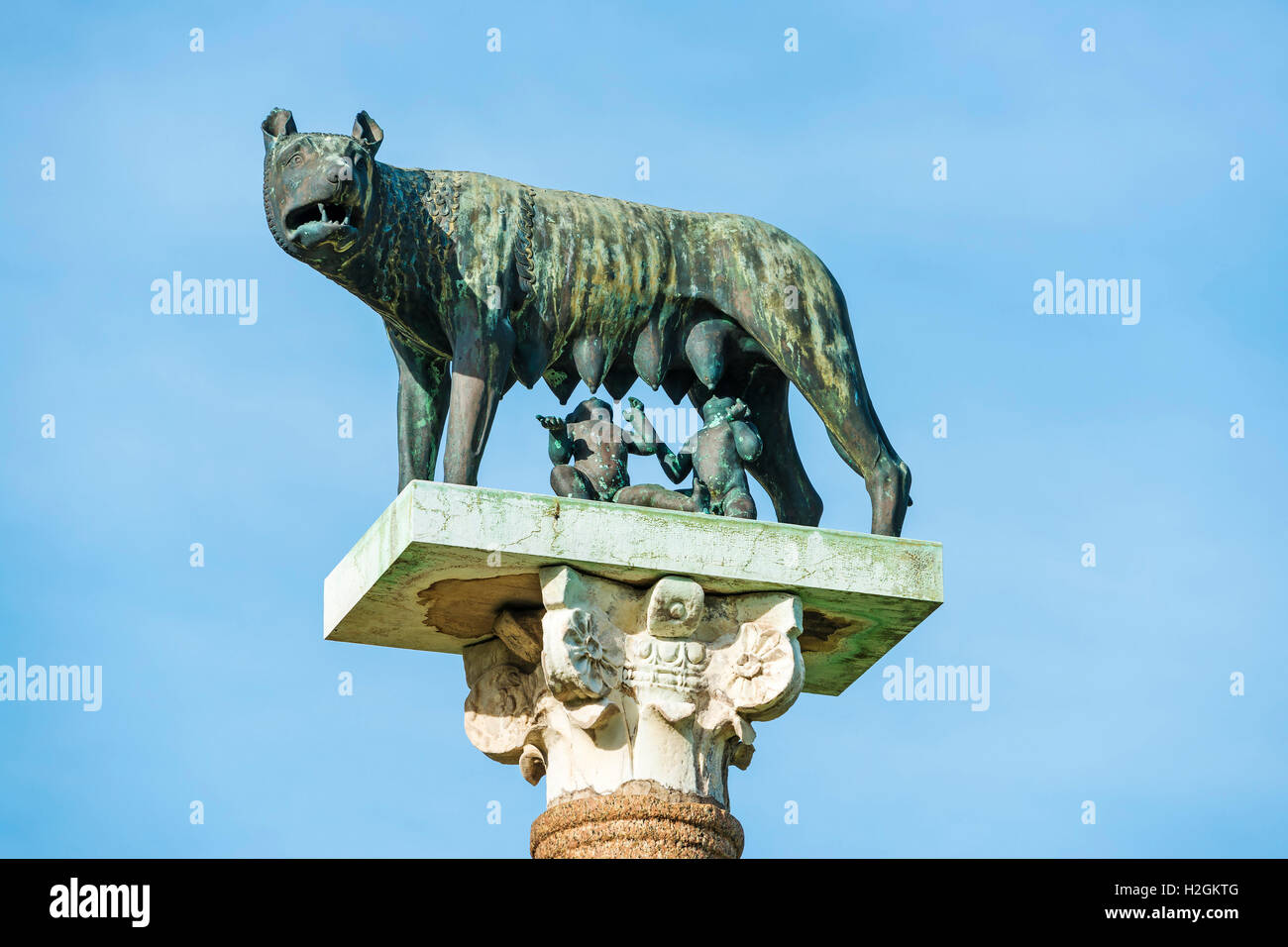 Wolf avec Romulus et Remus Banque D'Images