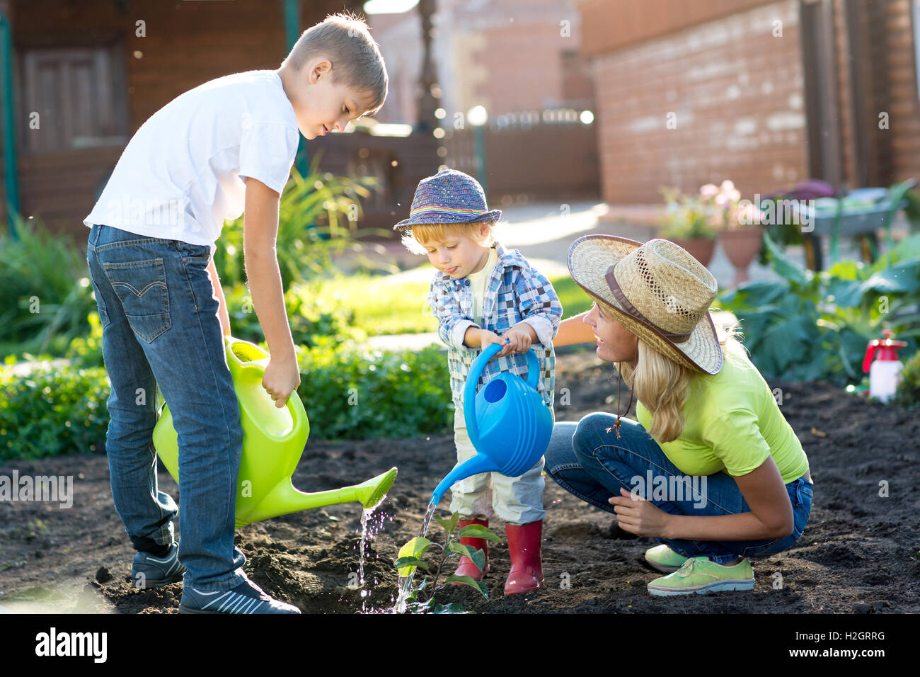 Petits garçons arrosage plante avec sa mère Banque D'Images