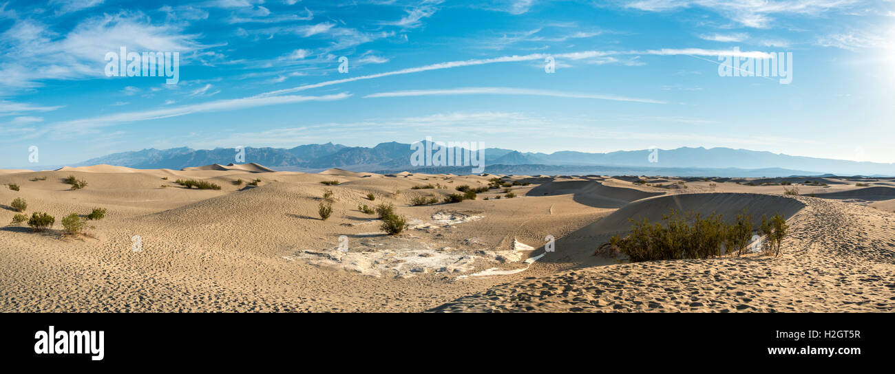 Télévision Mesquite Sand Dunes, avec des contreforts de la chaîne de montagne Amargosa, Death Valley National Park, California, USA Banque D'Images