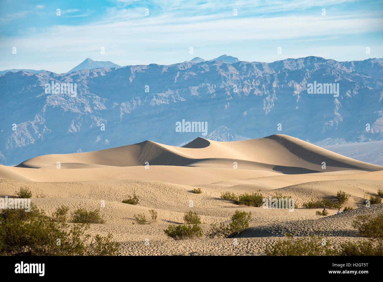 Mesquite Flat dunes de sable, de montagnes Amargosa foothills, Death Valley National Park, California, USA Banque D'Images