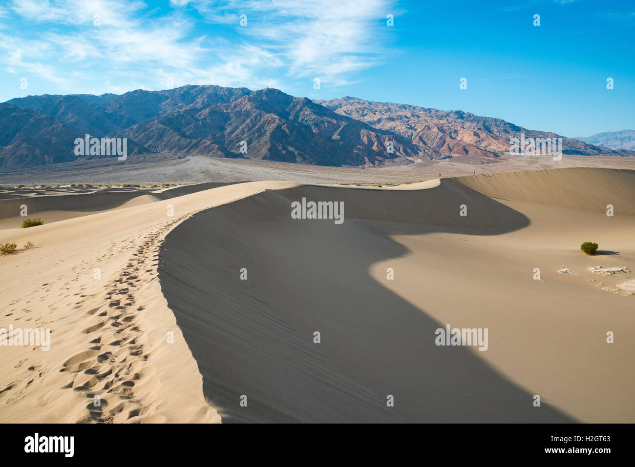 Mesquite Flat dunes de sable, de montagnes Amargosa foothills, Death Valley National Park, California, USA Banque D'Images
