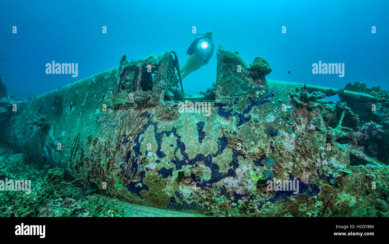 Scuba Diver explore un Grumman F6F Hellcat abattu des avions pendant la Seconde Guerre mondiale dans le pacifique des conflits. Banque D'Images