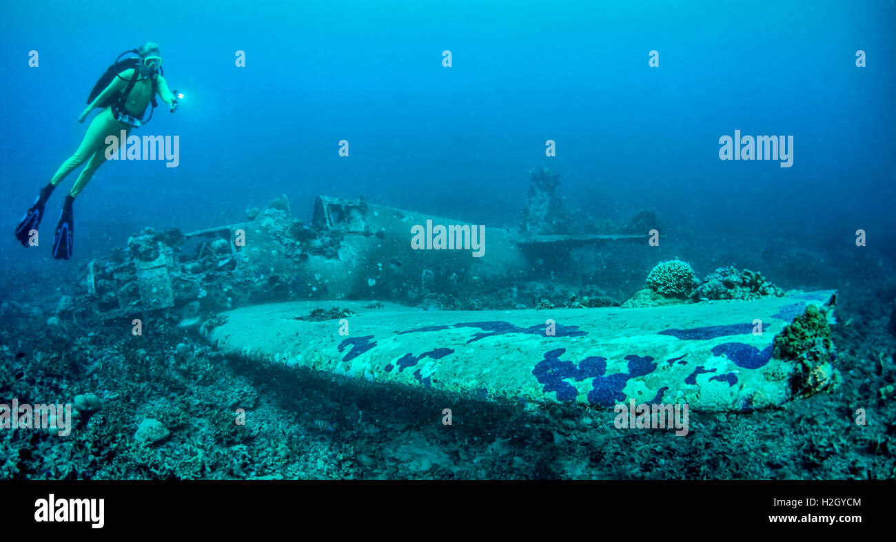 Scuba Diver explore un Grumman F6F Hellcat abattu des avions pendant la Seconde Guerre mondiale dans le pacifique des conflits. Banque D'Images
