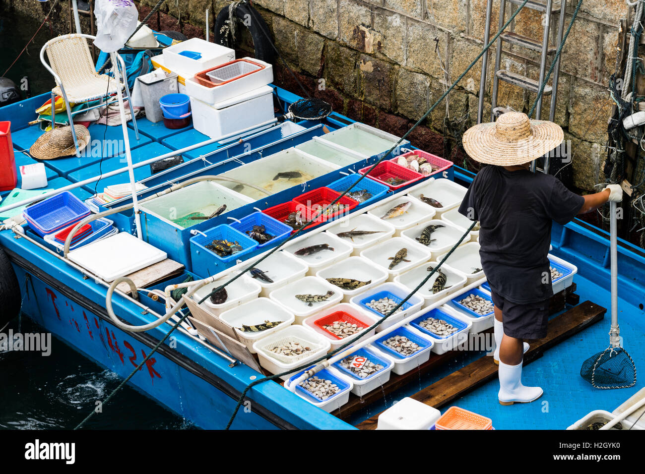 La vente du poisson pêcheur attraper à Sai Kung, Hong Kong Banque D'Images