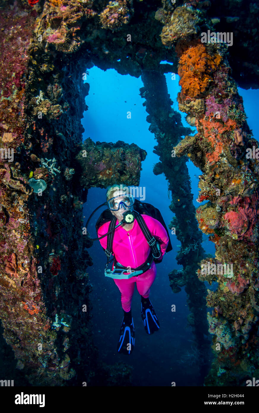 Plongeur femelle explore l'épave d'un WW2 cargo japonais coulé dans les Îles Salomon au cours de la campagne de Guadalcanal. Banque D'Images