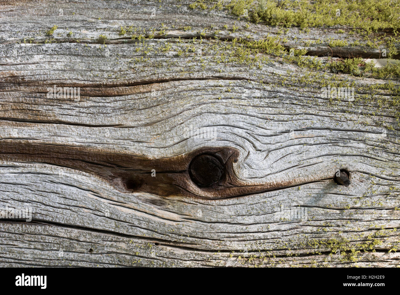 Holz, détail | Bois, détail Banque D'Images