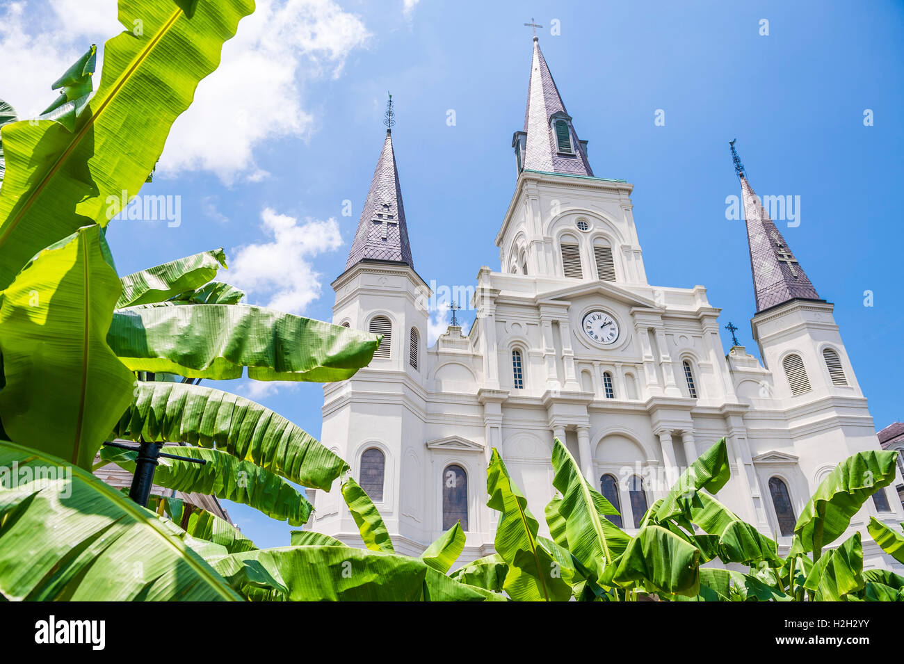 La Nouvelle Orléans célèbre église tours de la Cathédrale Basilique de Saint Louis avec banana palms sous ciel bleu dans le Quartier Français Banque D'Images
