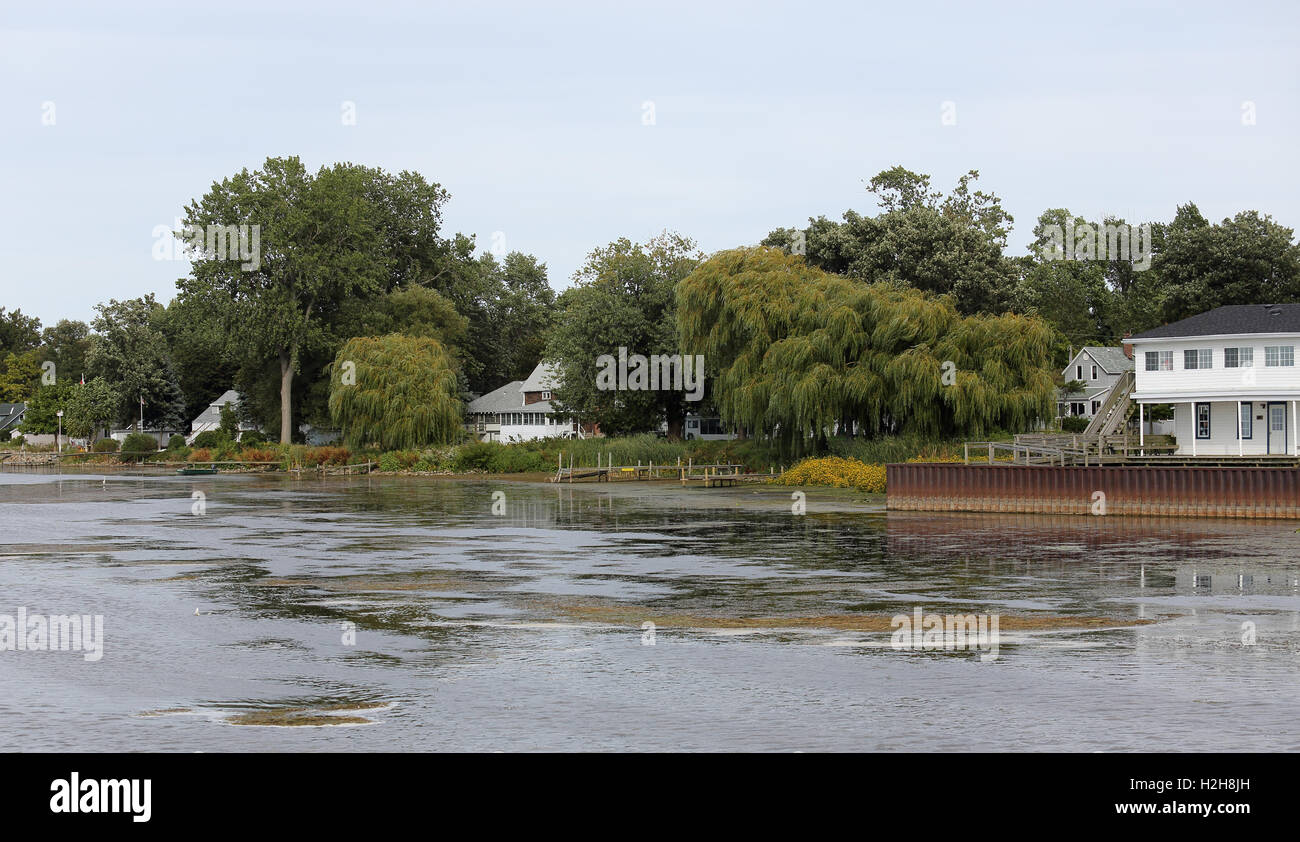 Cabines et d'arbres sur une baie Banque D'Images