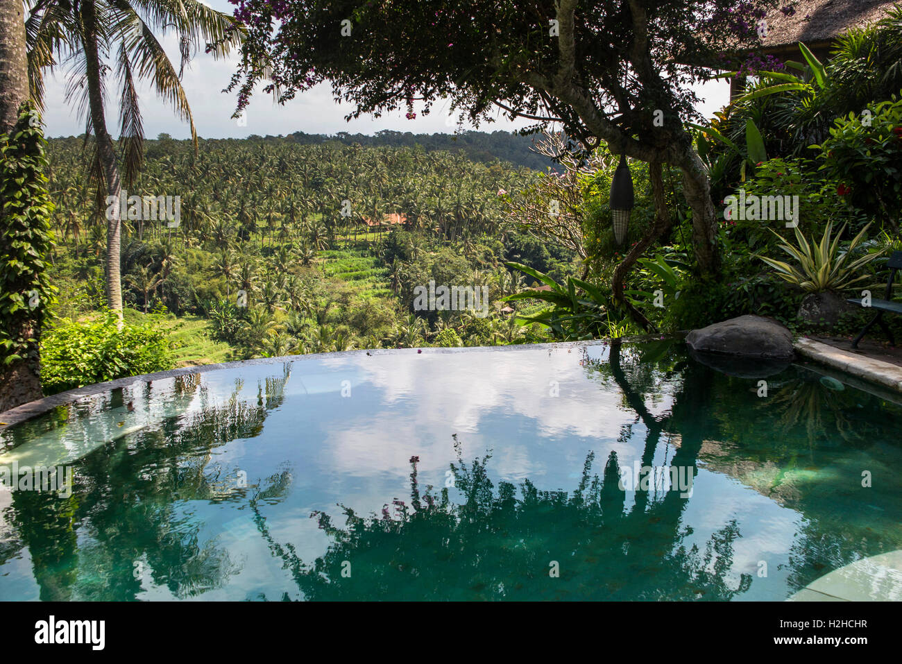 L'INDONÉSIE, Bali, Ubud, Sayan, Taman Bebek resort, d'une piscine à débordement au-dessus du fleuve Ayung Banque D'Images