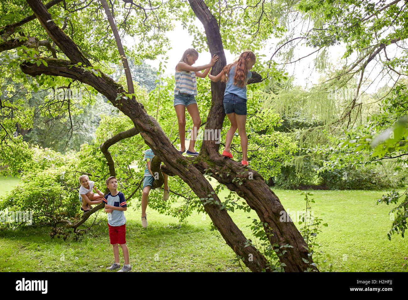 Enfants heureux de grimper à l'arbre parc d'été Banque D'Images