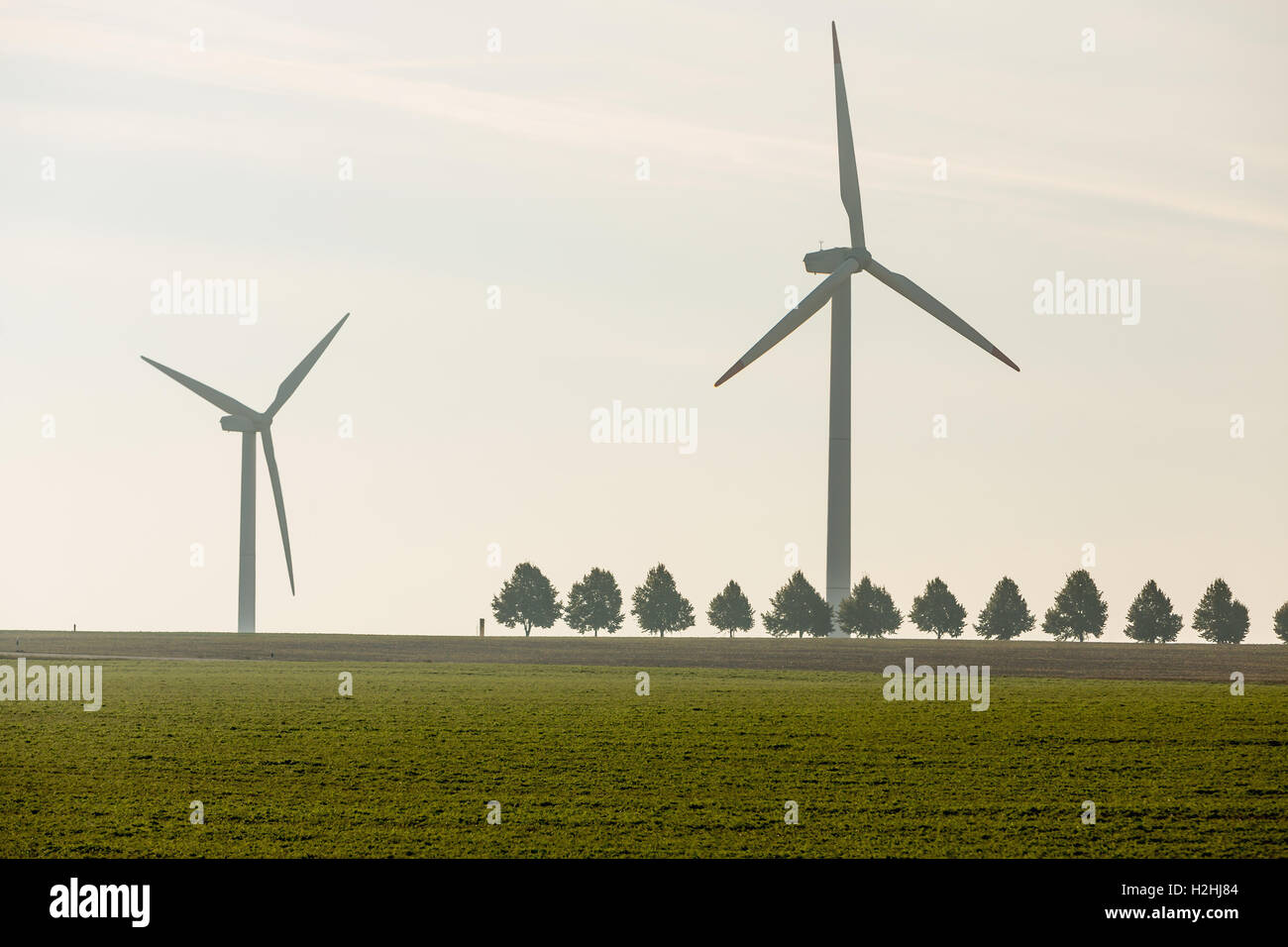 Eco-power, les éoliennes dans la campagne Banque D'Images