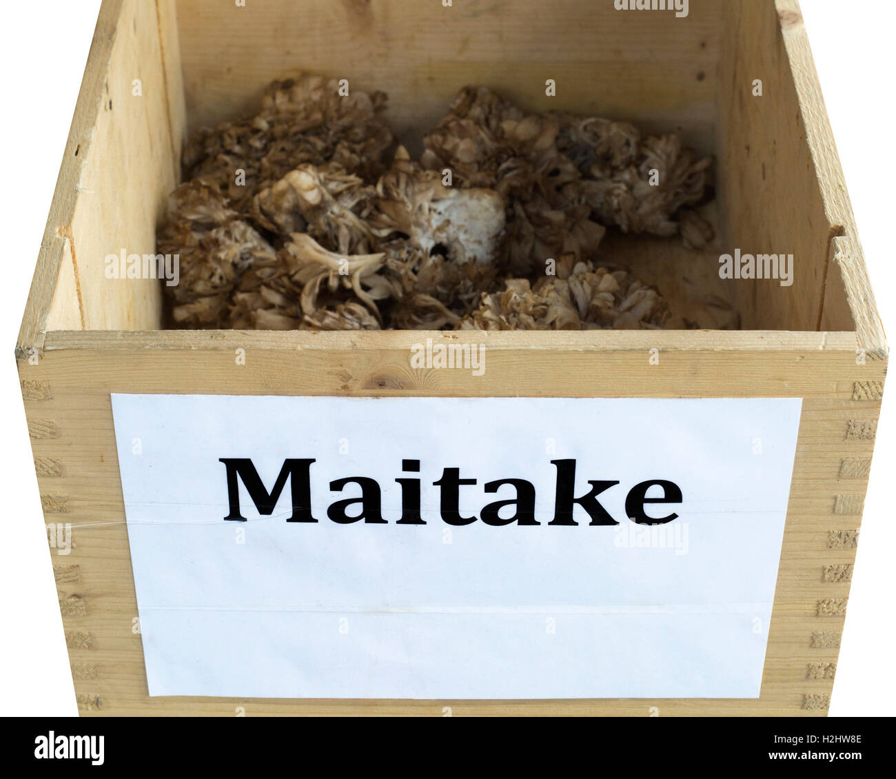 Champignons Maitake frais au marché agricole de Hillhurst Sunnyside Banque D'Images