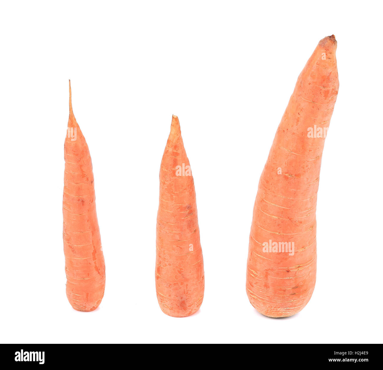 Unpeleed carottes fraîches. Banque D'Images