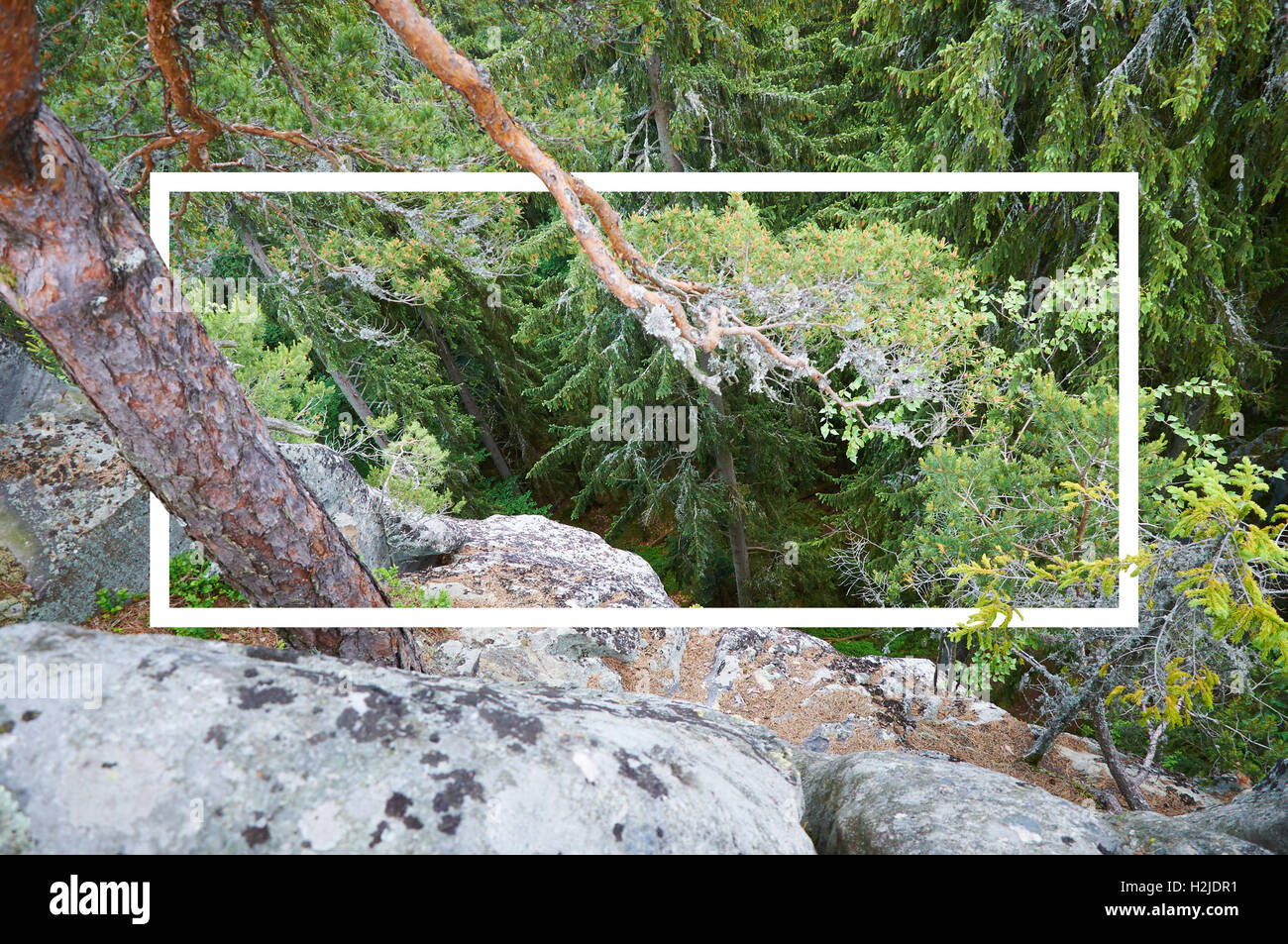 Cadre blanc, intégrée dans le paysage, pour votre contenu. Des contes, paysage de montagne, nature background Banque D'Images