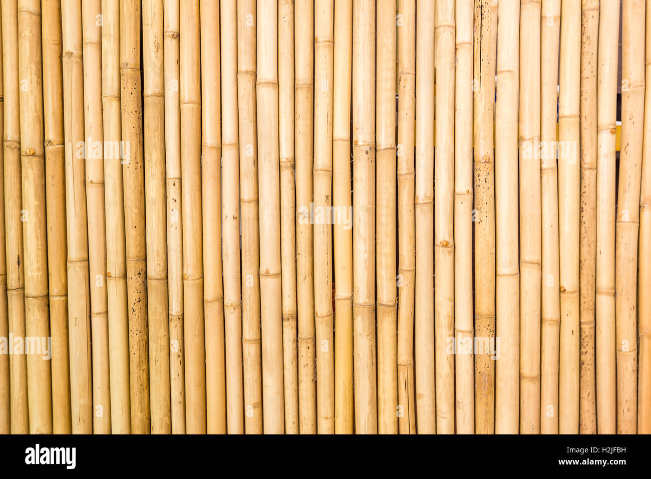 Bamboo asiatique Sets de Table Hiéroglyphes Bamboo motifs 