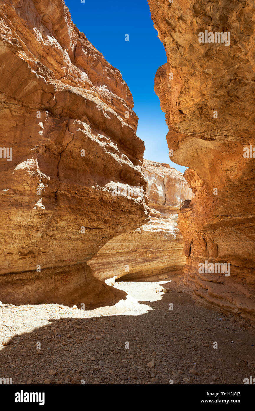 Désert du Sahara, à proximité du canyon Mides, Tunisie, Afrique du Nord Banque D'Images