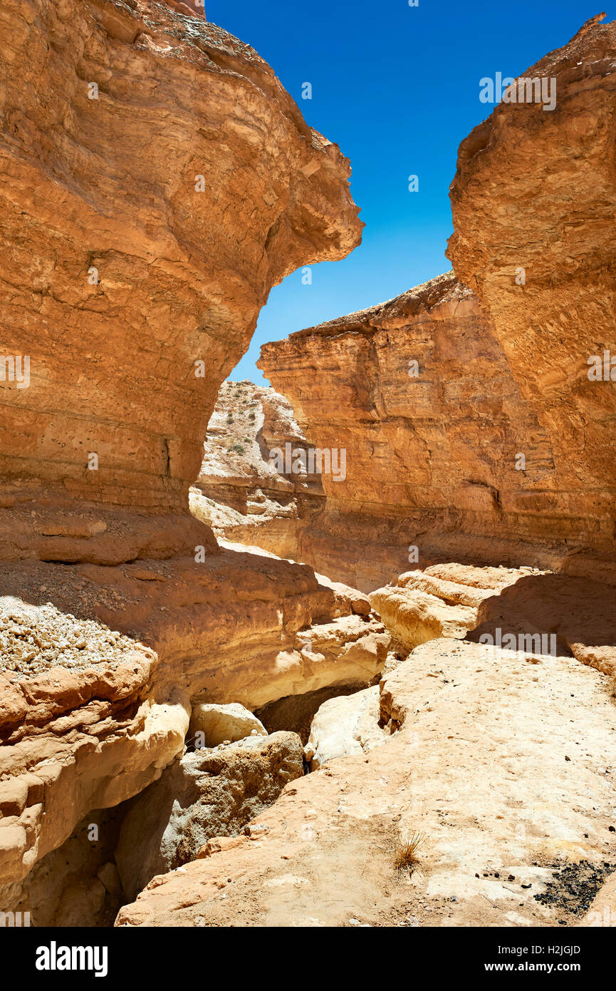 Désert du Sahara, à proximité du canyon Mides, Tunisie, Afrique du Nord Banque D'Images