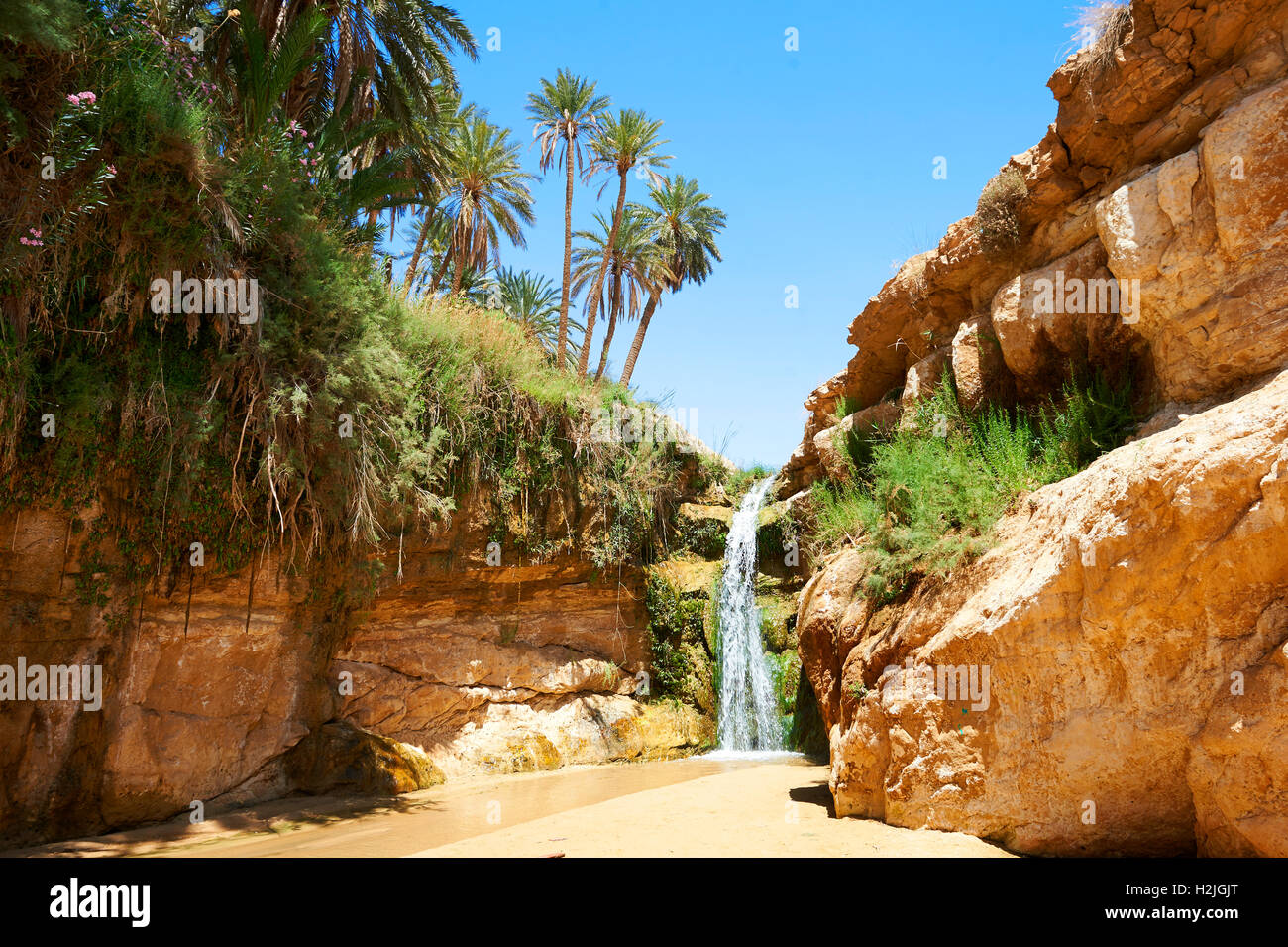 Mides cascade Gorge parmi les dattiers du désert du Sahara oasis de Mides, Tunisie, Afrique du Nord Banque D'Images