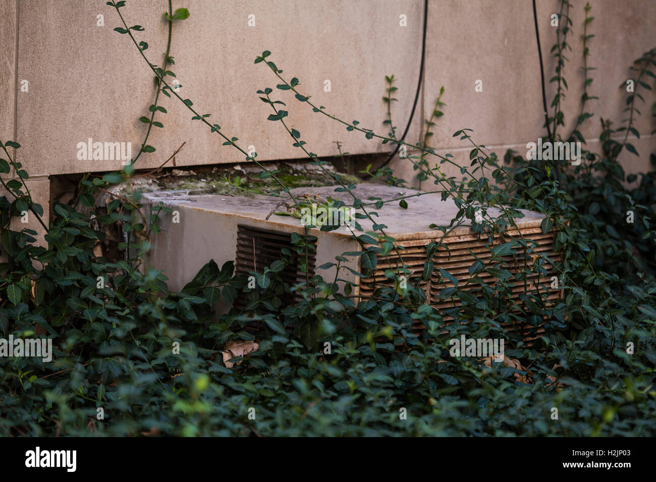 Unité d'air conditionné entouré par la végétation. Banque D'Images