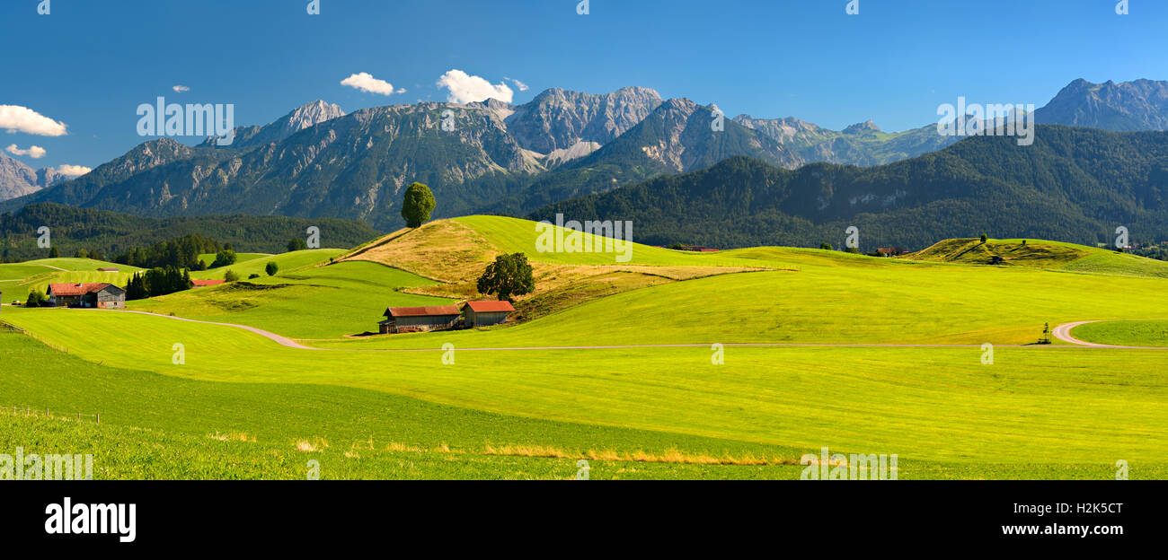Paysage vallonné avec de petites fermes, prés et champs, Alpes d'Allgäu, près de Füssen, Allgäu, Bavière, Allemagne Banque D'Images