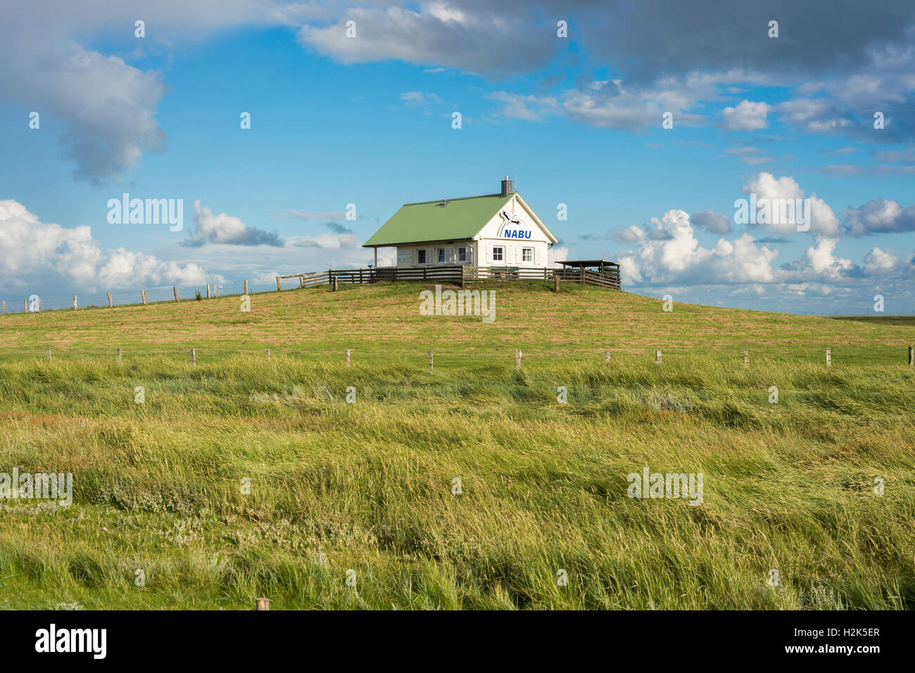 Maison de la German Society for Nature Conservation, NABU, remblai Hamburger Hallig foreland, réserve naturelle Banque D'Images