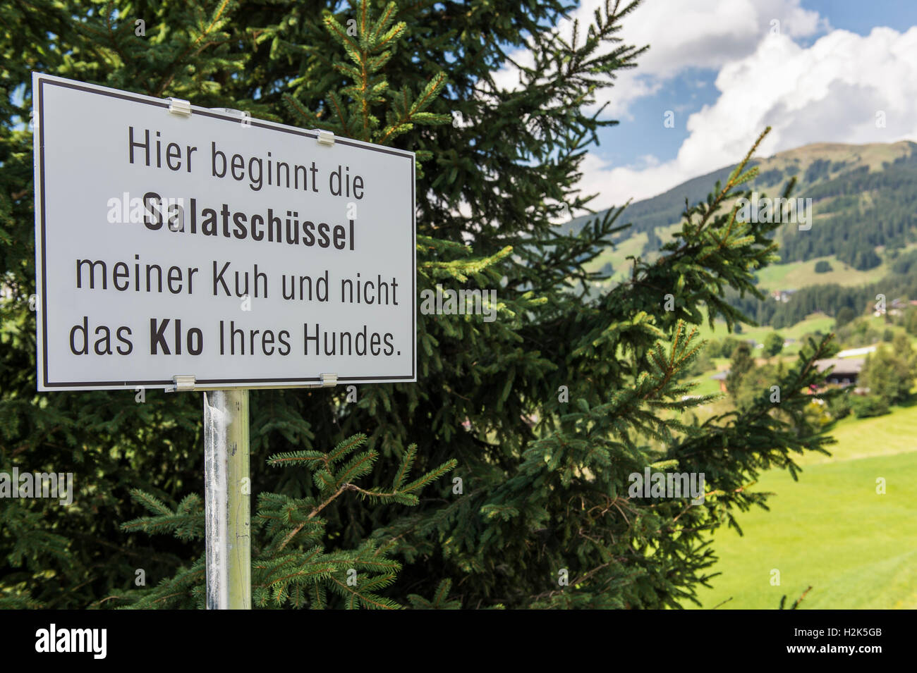 Drôle à côté de prairie, pas de toilettes, chien Haut Tauern National Park, East Tyrol, Autriche Banque D'Images