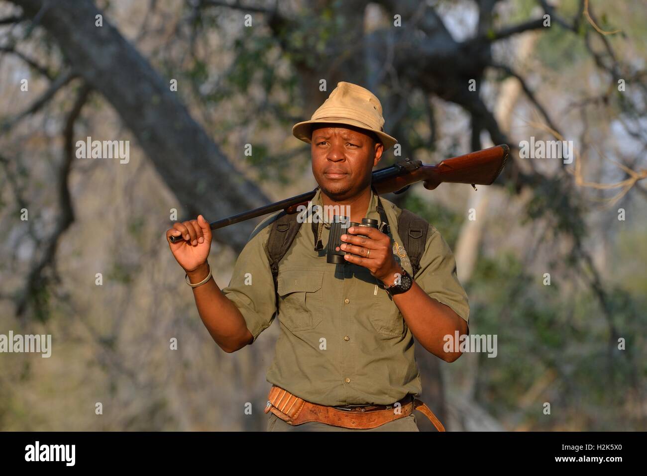 Guide avec des jumelles et un fusil sur un safari à pied, Mana Pools National Park, Zimbabwe, Province Mashonaland Ouest Banque D'Images