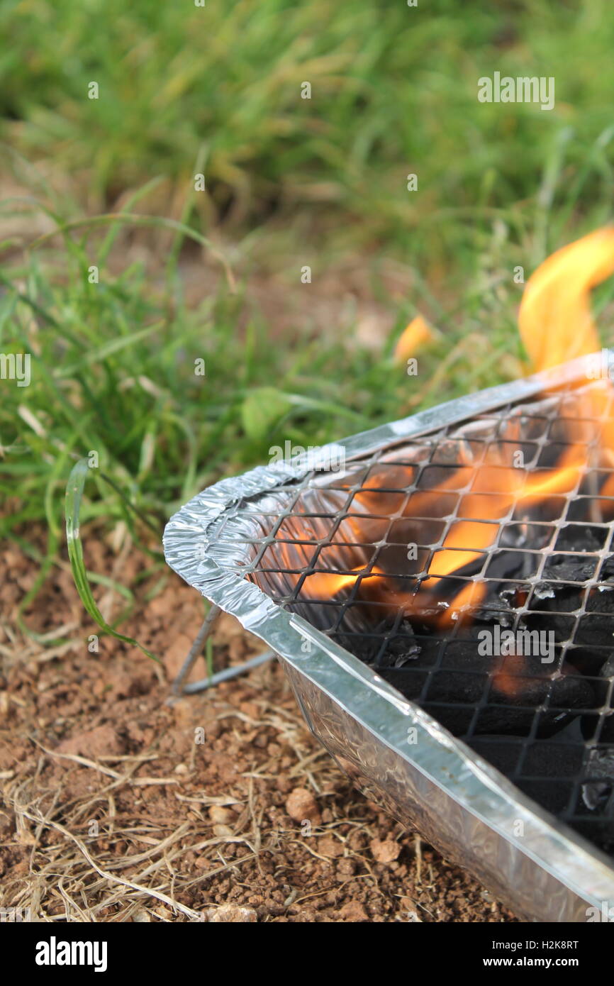 Barbecue jetable descendre sur l'herbe Banque D'Images