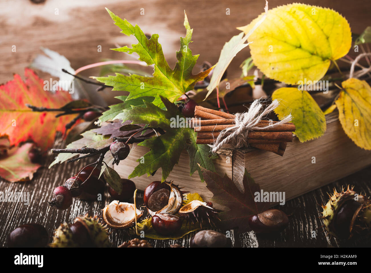 Automne décoration maison avec des châtaignes, noix, cannelle, feuilles. Joyeux Thanksgiving concept rustique Banque D'Images