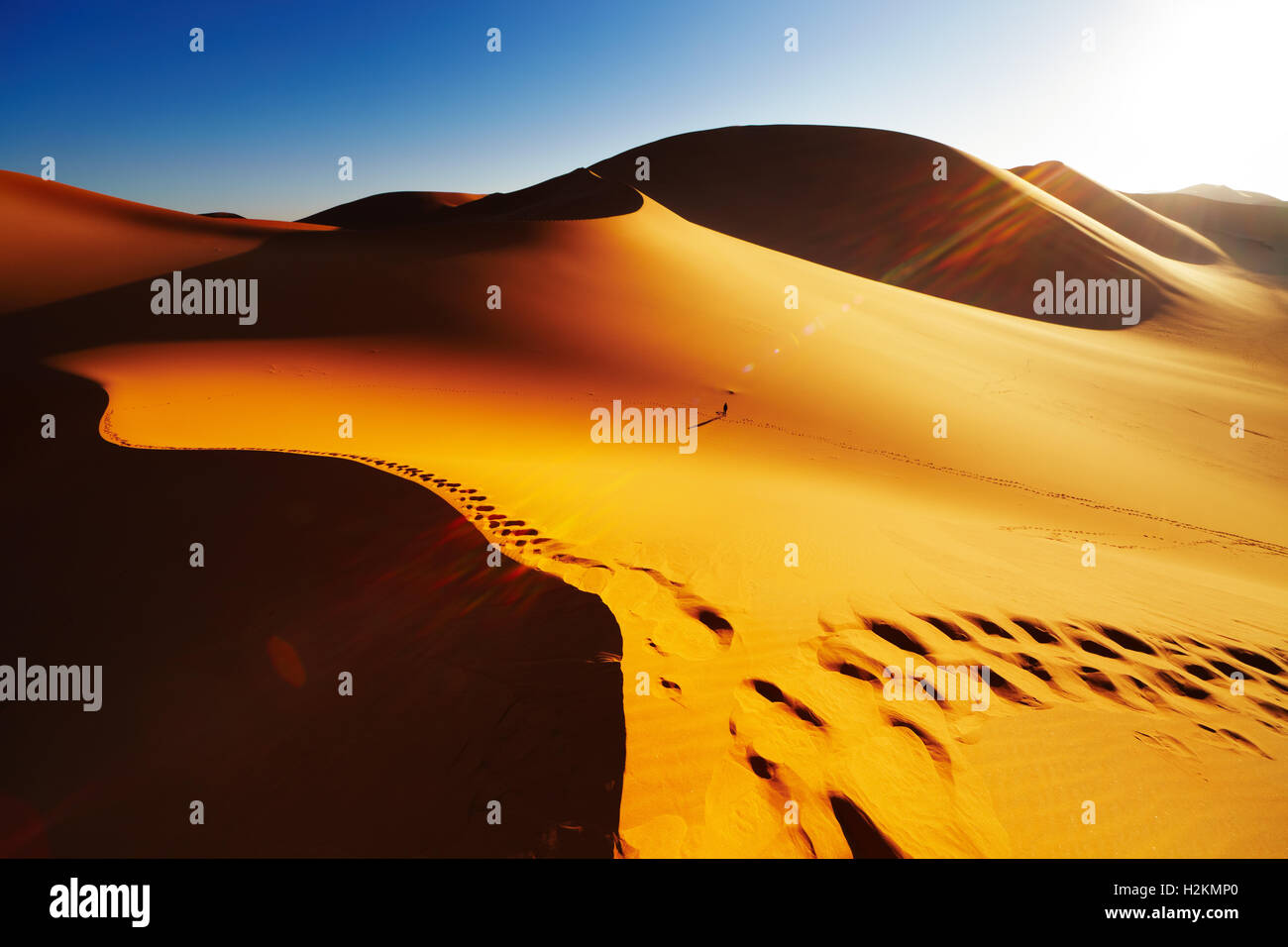 Dune de sable avec des empreintes au lever du soleil, désert du Sahara, l'Algérie Banque D'Images