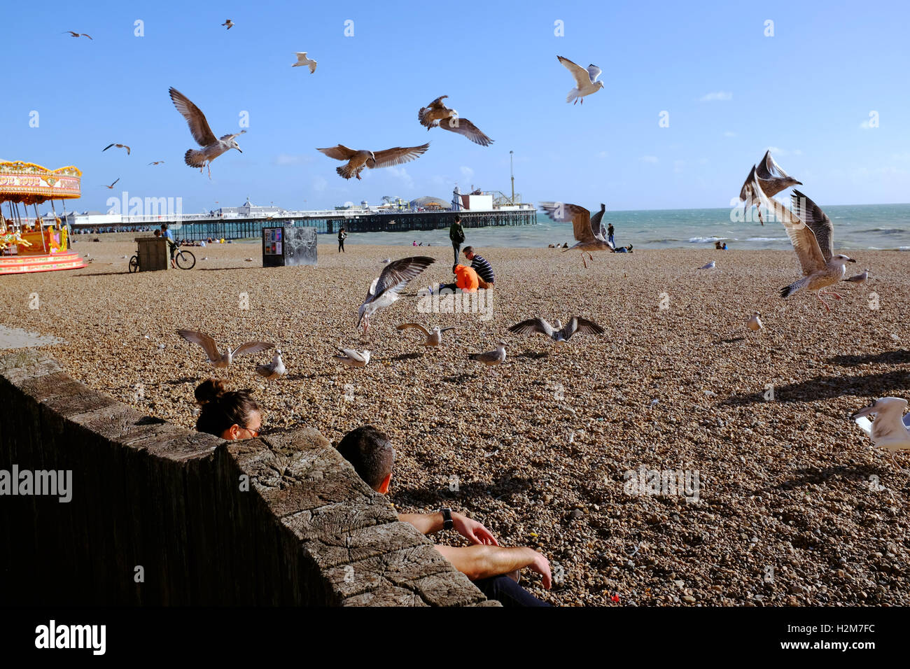 Mouettes troupeau autour d'un couple eating chips sur la plage de Brighton UK Banque D'Images