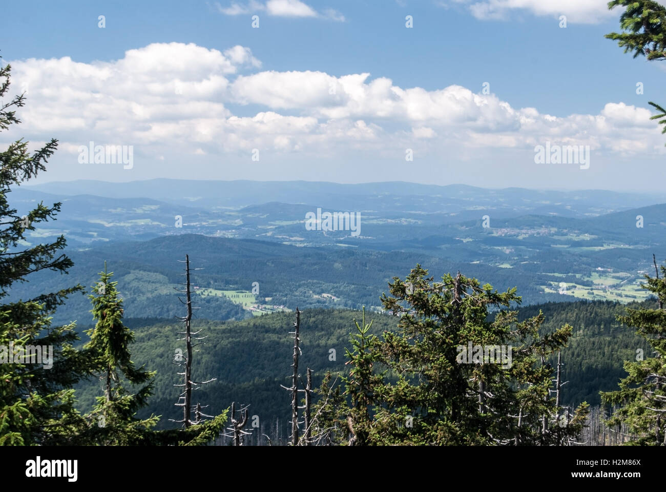 Panorama de montagne de grosser rachel hill dans les montagnes de la forêt bavaroise en bavière au cours de journée d'été avec ciel bleu et nuages Banque D'Images
