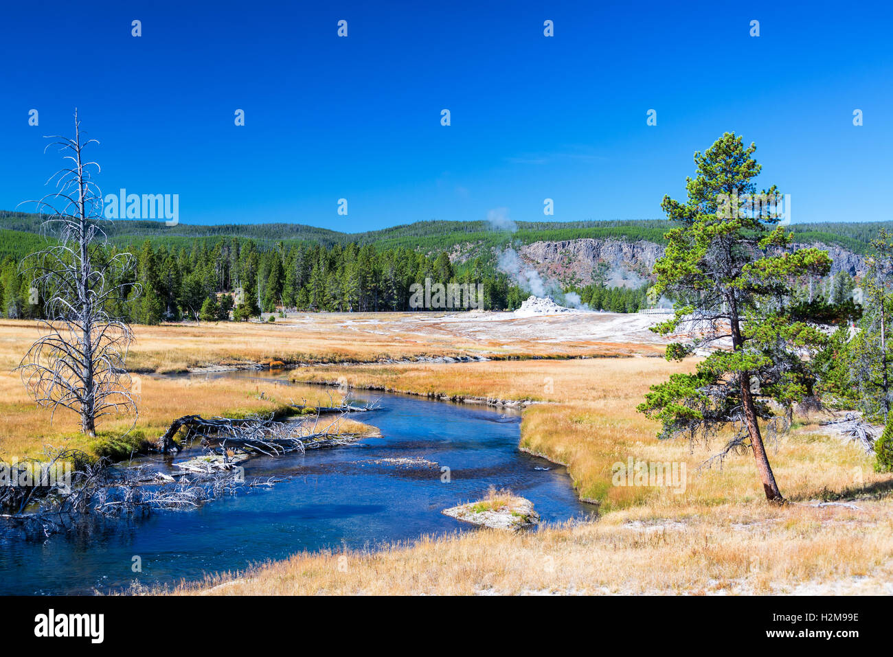 Rivière Firehole qui traverse la partie supérieure de geyser Basin dans le Parc National de Yellowstone Banque D'Images