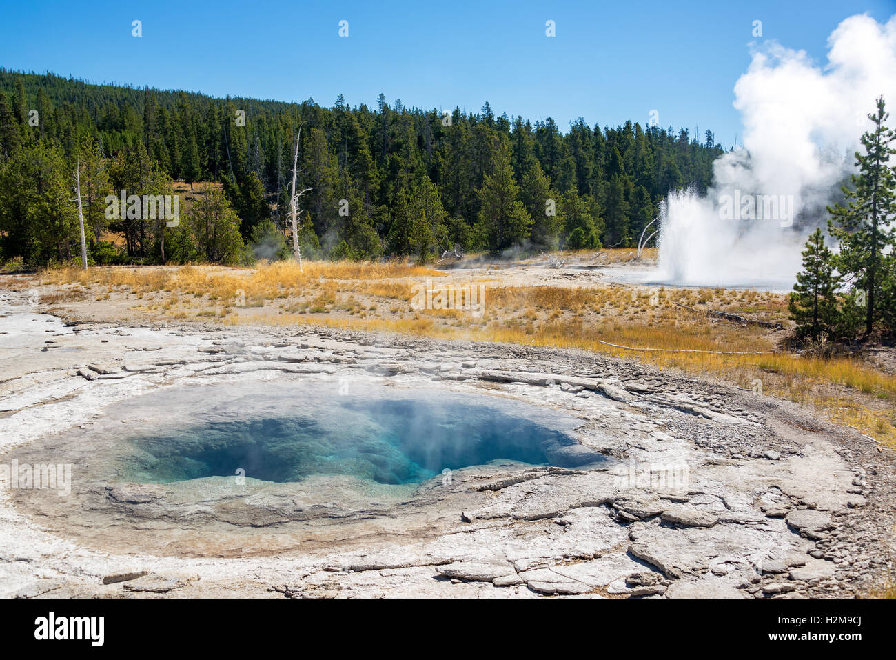 Vue sur la station thermale de Vichy Sporting Club dans le coin supérieur Geyser Basin dans le Parc National de Yellowstone Banque D'Images