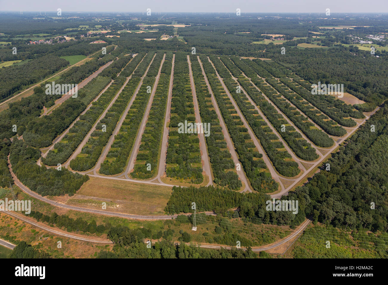 Vue aérienne, Muna, bunkers de munitions dans la Bundeswehr Wulfen, Depot des forces allemandes, vue aérienne de Dorsten, Ruhr, Banque D'Images