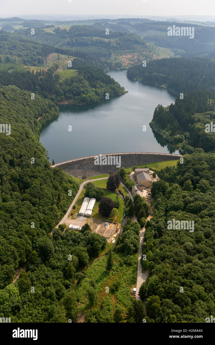 Vue aérienne, Hasper barrage, Hagen, vue aérienne de Hagen, réservoir, barrage, l'île, la forêt, la nature, la forêt de feuillus vue aérienne Banque D'Images