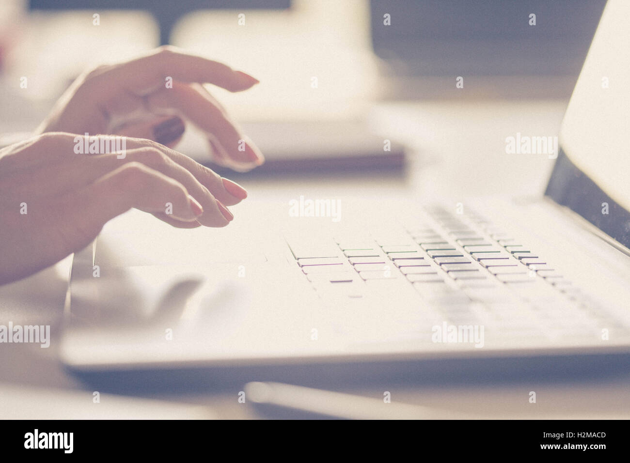 Femme hands typing on a laptop Banque D'Images