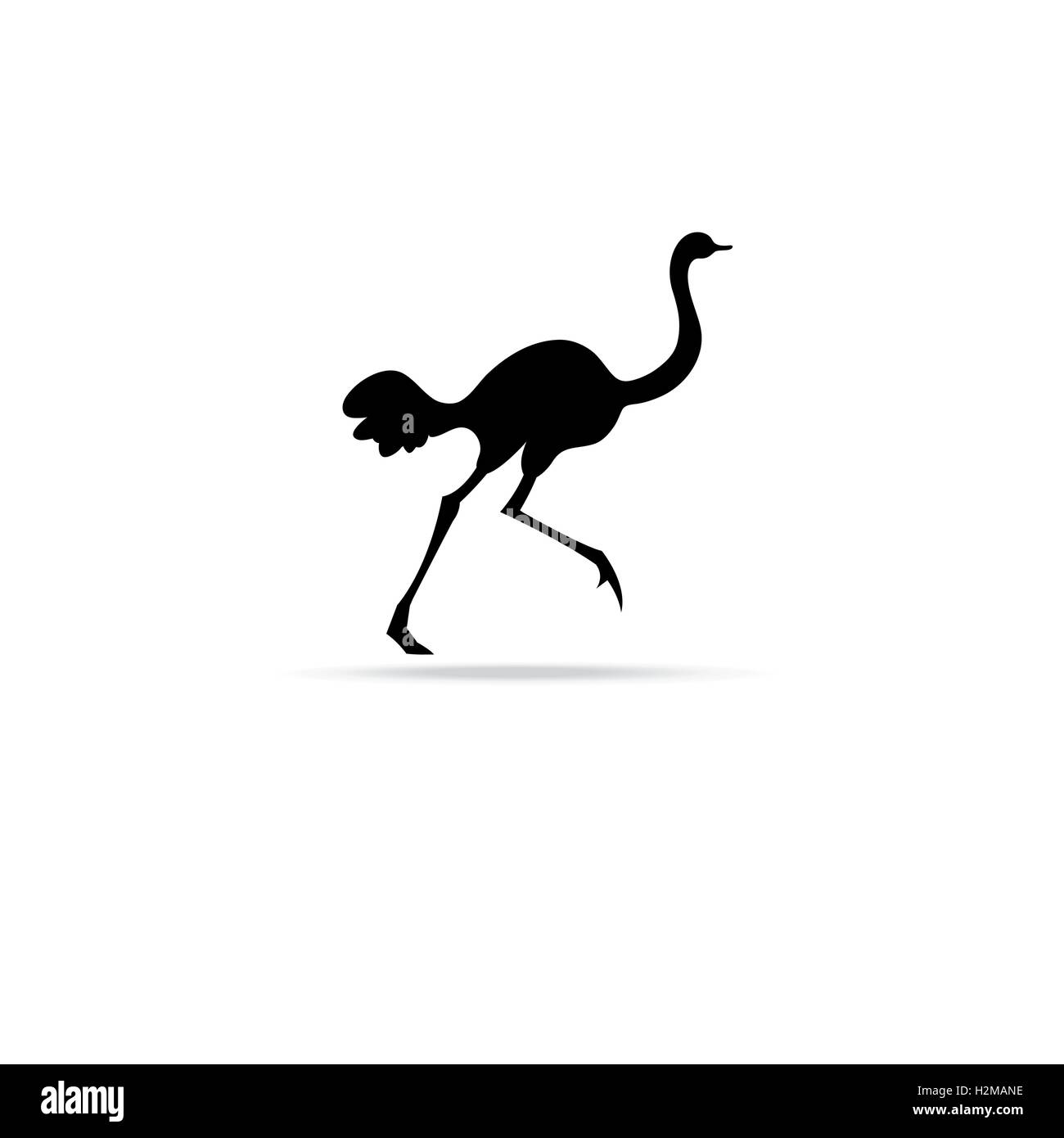 Symbole graphique d'autruches isolé sur fond blanc pour la conception Illustration de Vecteur