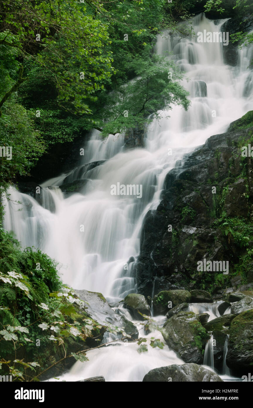 Torc Waterfall dans le Parc National de Killarney, comté de Kerry, Irlande, Europe Banque D'Images