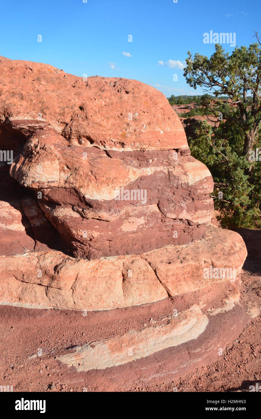 Close-up of sandstone rock formation au Jardin des Dieux Parc dans Colorado Springs Banque D'Images