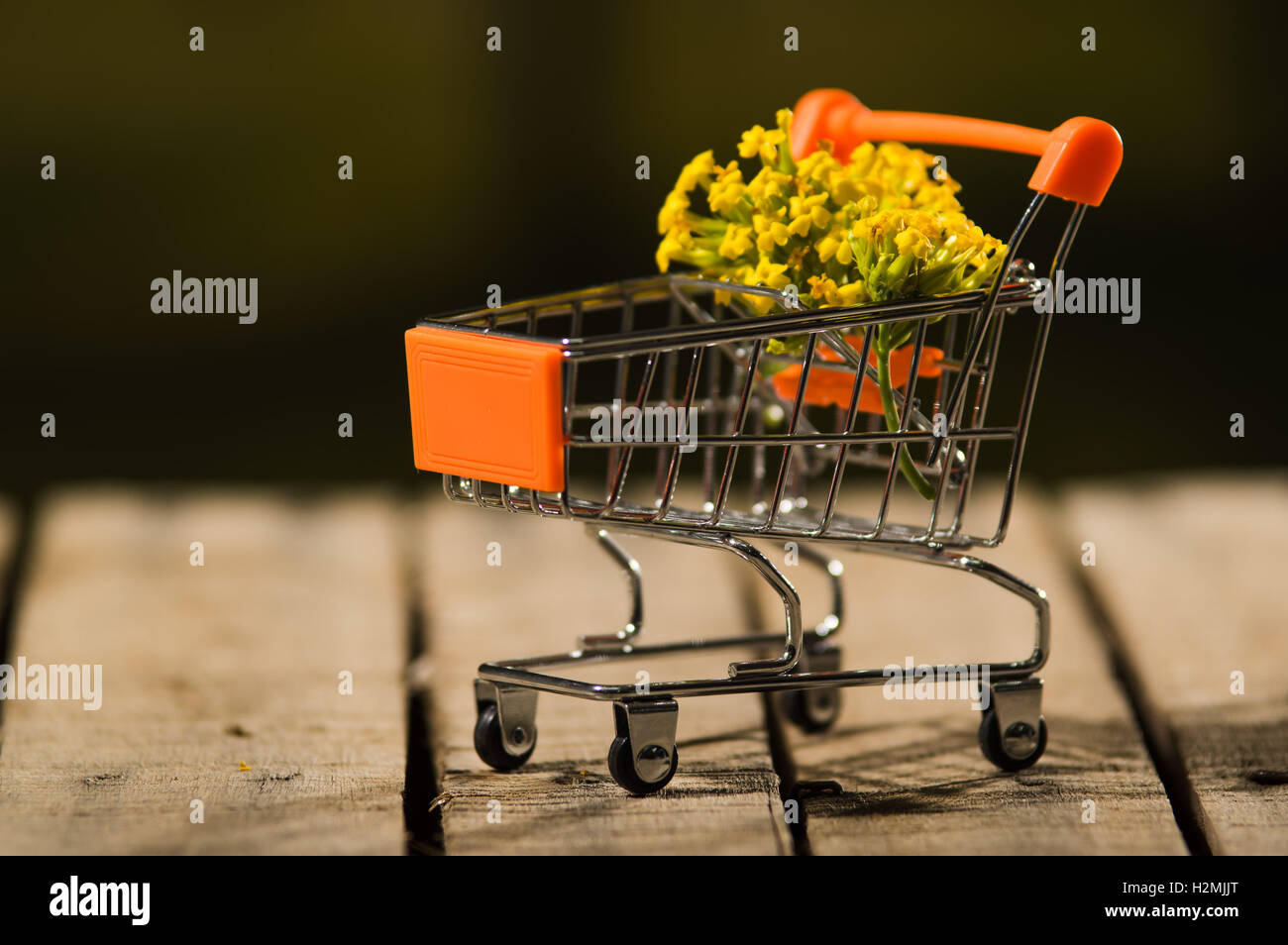 Panier miniature assis sur surface en bois avec bouquet de fleurs jaunes à l'intérieur de ce concept, les magiciens Banque D'Images