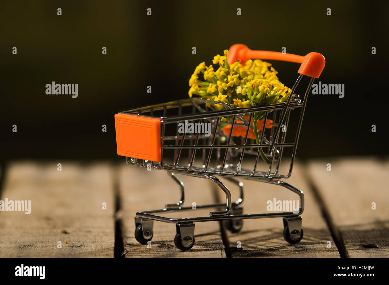 Panier miniature assis sur surface en bois avec bouquet de fleurs jaunes à l'intérieur de ce concept, les magiciens Banque D'Images