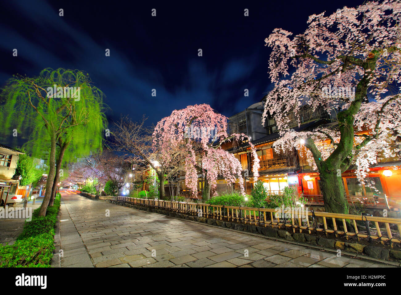 Gion à Kyoto avec sakura tree at night Banque D'Images