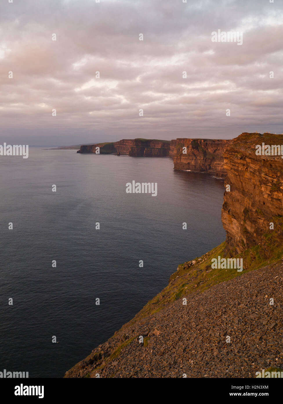 Falaises de Moher par une soirée d'été, comté de Clare Banque D'Images