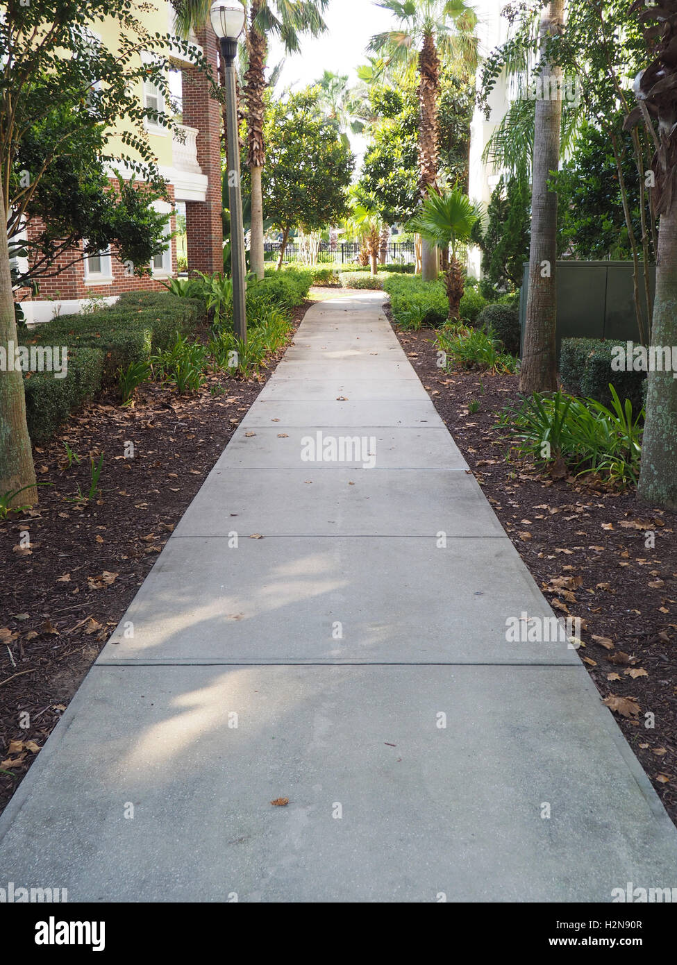 Long trottoir en béton qui est partiellement ombragée. Le trottoir est bordée d'arbres et est entre deux bâtiments. Banque D'Images