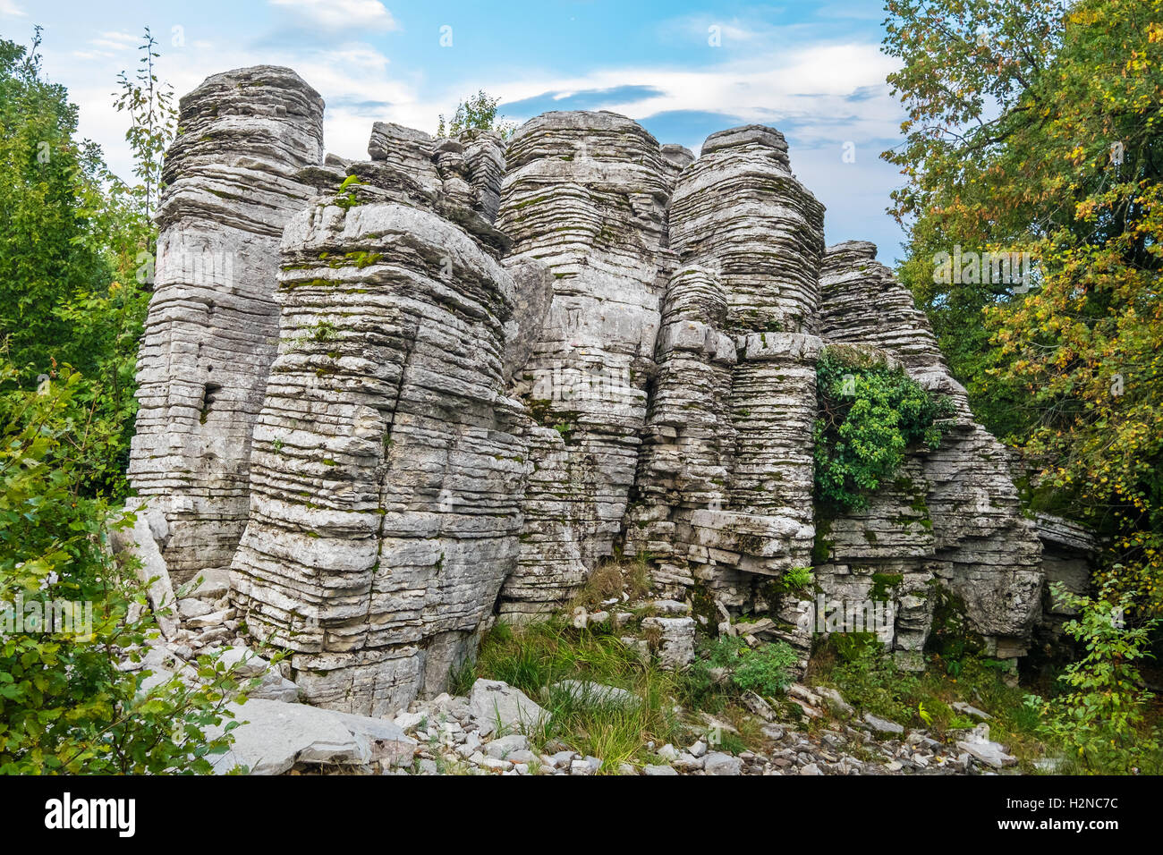 Forêt de pierre. Zagoria, Grèce Banque D'Images